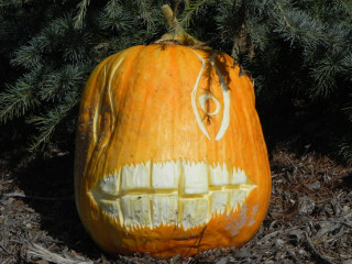 Big Teeth, Nipomo Pumpkin Patch best carving idea